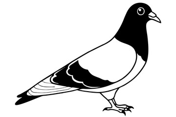 pigeon line art silhouette vector illustration