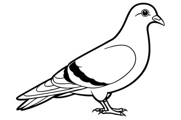 pigeon line art silhouette vector illustration