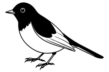 robin bird line art silhouette vector illustration