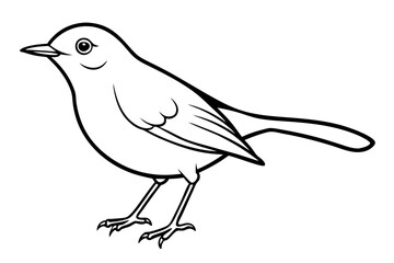 robin bird line art silhouette vector illustration