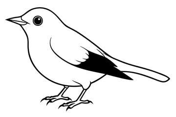 robin bird line art silhouette vector illustration