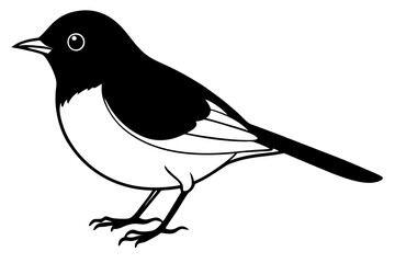robin bird line art silhouette vector illustration