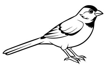 sparrow line art silhouette vector illustration