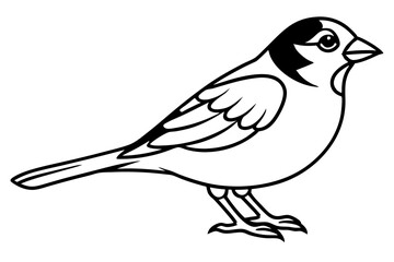 sparrow line art silhouette vector illustration