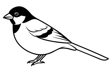 sparrow line art silhouette vector illustration