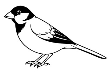 sparrow line art silhouette vector illustration