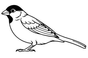 Obraz premium sparrow line art silhouette vector illustration