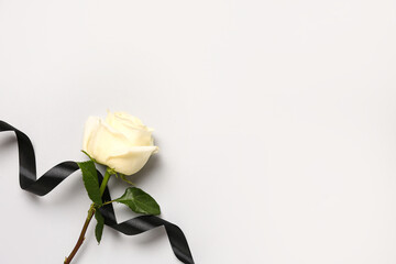 Rose and black ribbon on white background
