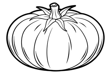 tomato line art silhouette vector illustration