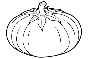 tomato line art silhouette vector illustration