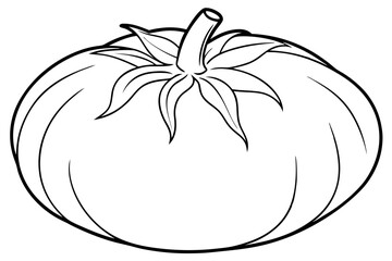 tomato line art silhouette vector illustration