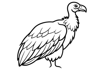 vulture line art silhouette vector illustration