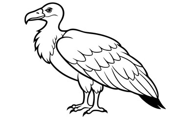 vulture line art silhouette vector illustration