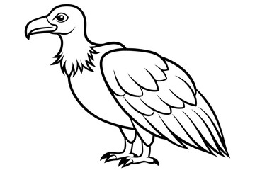 vulture line art silhouette vector illustration