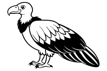 vulture line art silhouette vector illustration