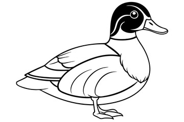 wood duck line art silhouette vector illustration