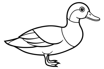 wood duck line art silhouette vector illustration