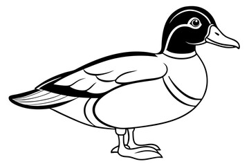 wood duck line art silhouette vector illustration