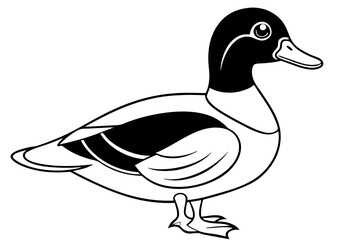 wood duck line art silhouette vector illustration