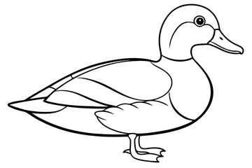 wood duck line art silhouette vector illustration