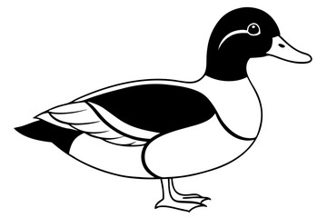 wood duck line art silhouette vector illustration