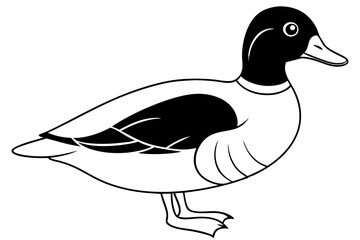 wood duck line art silhouette vector illustration