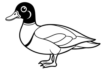 wood duck line art silhouette vector illustration