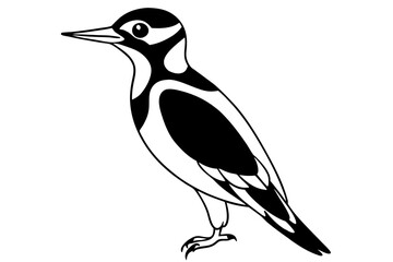 woodpecker line art silhouette vector illustration