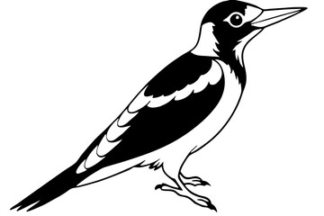 woodpecker line art silhouette vector illustration