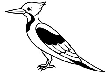woodpecker line art silhouette vector illustration