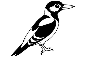 woodpecker line art silhouette vector illustration