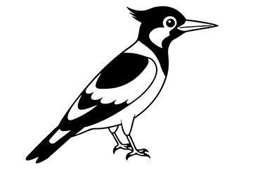 woodpecker line art silhouette vector illustration