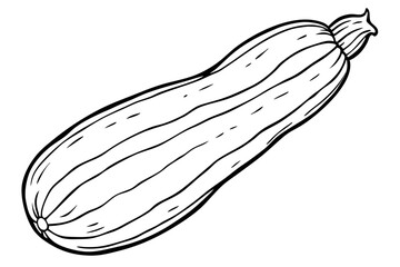 zucchini line art silhouette vector illustration