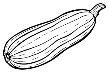 zucchini line art silhouette vector illustration