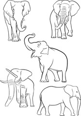 elephant, set of eflephants vector outline illustrations, coloring book, logo, design element