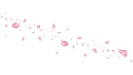 rose and sakura flying petal romantic background vector