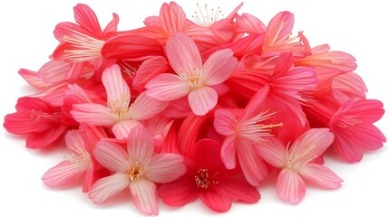 Obraz premium Pink Flower Petals for Isolated Pile, White Background.