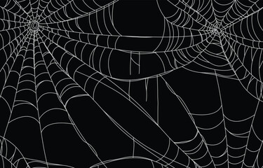 Spooky Halloween Spider Web Frame with Transparent Background
