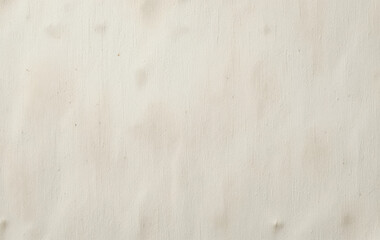 Off-White Paper Texture Canvas.