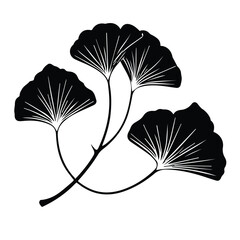 Elegant Ginkgo Biloba Leaves Silhouettes