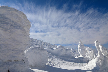 蔵王の樹氷 ( 山形県 山形市 )