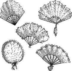 old fashioned fan set sketch hand drawn vector