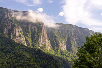 Green trees on beautiful rocks high in the mountains.