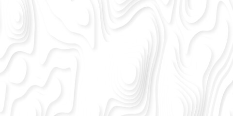 Abstract white paper cut background with lines. Background of the topographic map. White wave paper curved reliefs abstract background. Realistic papercut decoration textured with wavy layers.