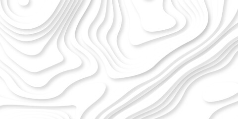 Abstract white paper cut background with lines. Background of the topographic map. White wave paper curved reliefs abstract background. Realistic papercut decoration textured with wavy layers.