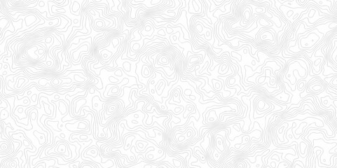 Abstract background vector. Abstract topographic contours map background. Abstract white pattern topography vector background. Black and white topography contour line map isolated on white background.
