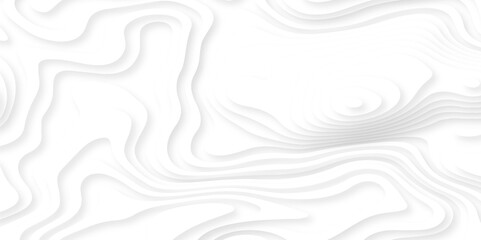Abstract white paper cut background with lines. Background of the topographic map. White wave paper curved reliefs abstract background. Realistic papercut decoration textured with wavy layers.