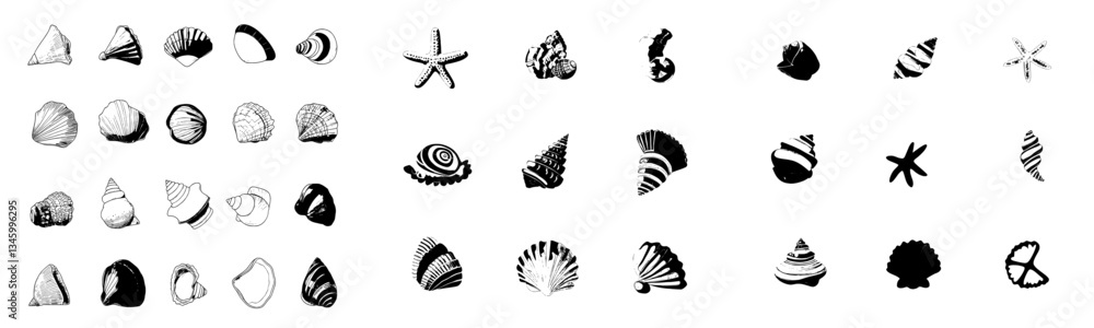 Poster hand drawn colorful shells and cartoon sea shell objects represent elements of the concept of ocean 
