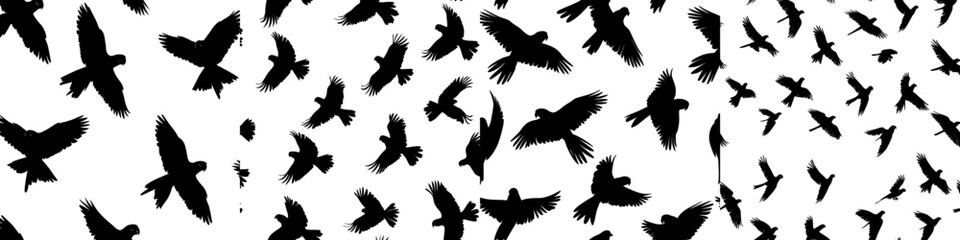 Obraz premium The modern illustration features birds as black silhouettes set against a white background