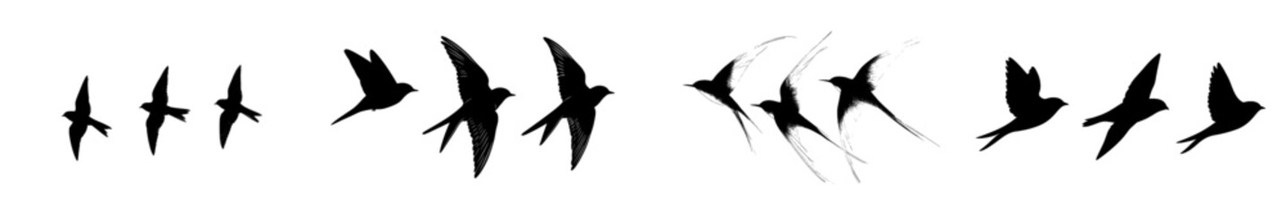 Obraz premium A flock of swallows is depicted as silhouettes of flying birds filling the sky and flying over the sea with a free black bird in swift flight amidst a swarm of swallows above the cloud skyline in a